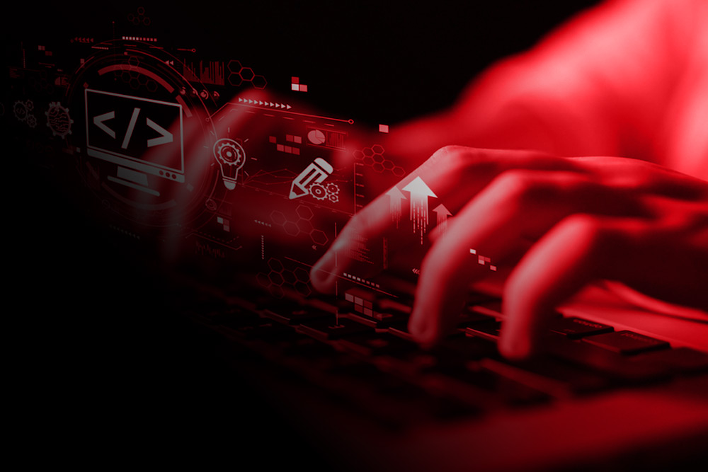 Web Design & Development